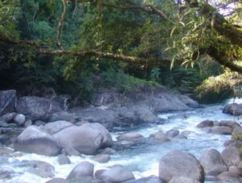 Tours and Activities Sea Change Beachfront Apartments Trinity Beach